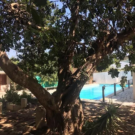 Casa Della Salvia Con Piscina, Relax In Campagna Vicino Al Mare Prázdninový dům